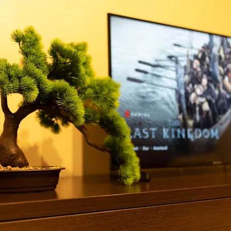 Апартаменты 4 Unirii 47