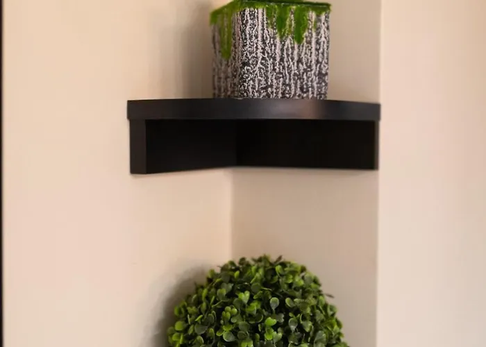 4 Unirii 47 * Бухарест