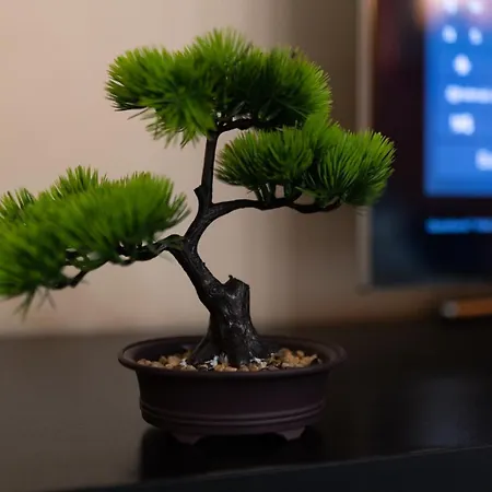 Appartamento 4 Unirii 47 Bucarest