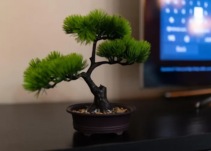 Appartement 4 Unirii 47 Bucarest